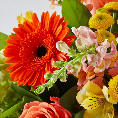 Autumn Sunshine Bouquet –  Atkinson Florist, Thornhill ON