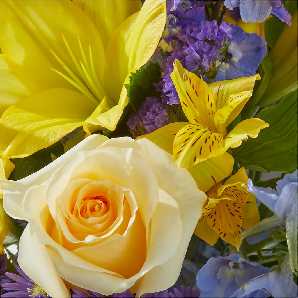 Limoncello Bouquet –  Atkinson Florist, Thornhill ON