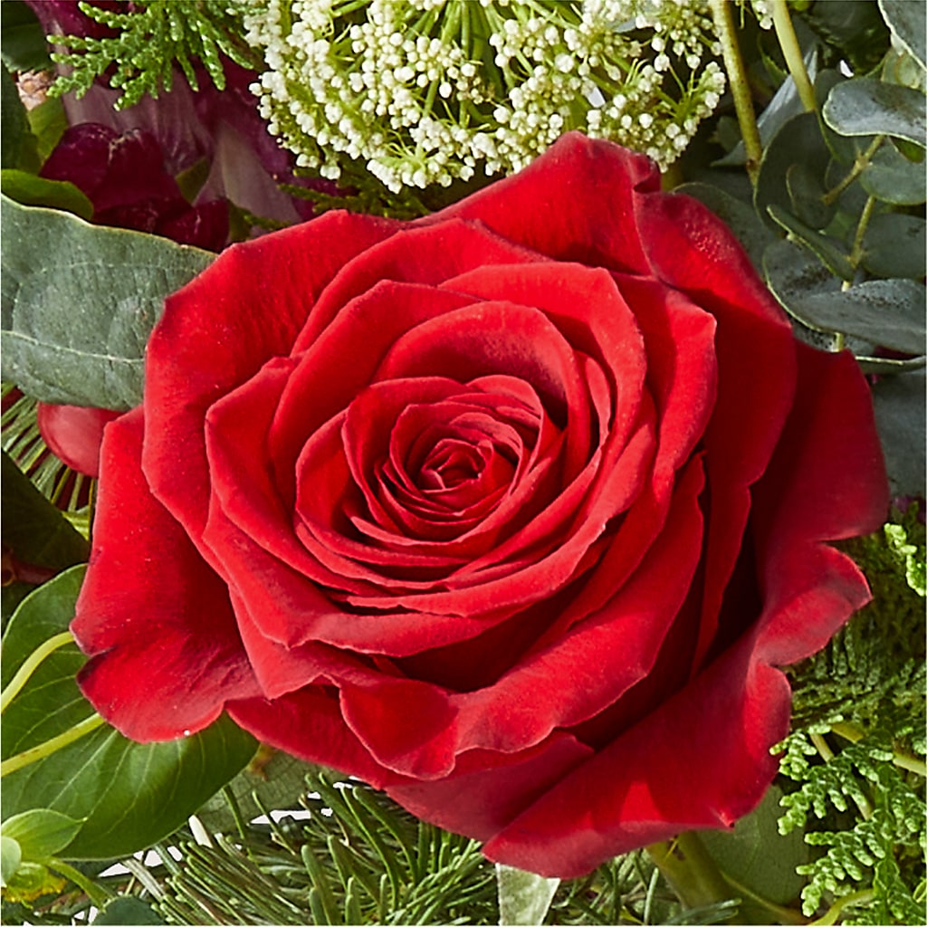 Cranberry Fizz Bouquet –  Atkinson Florist, Thornhill ON
