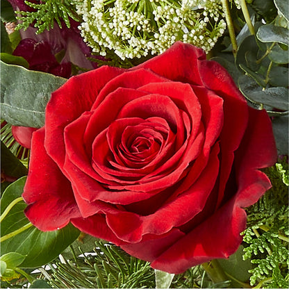 Cranberry Fizz Bouquet –  Atkinson Florist, Thornhill ON