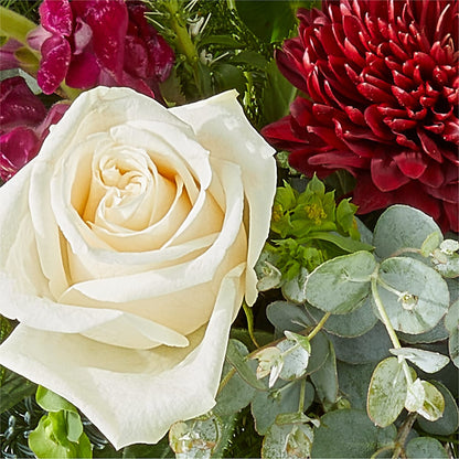 Cranberry Fizz Bouquet –  Atkinson Florist, Thornhill ON