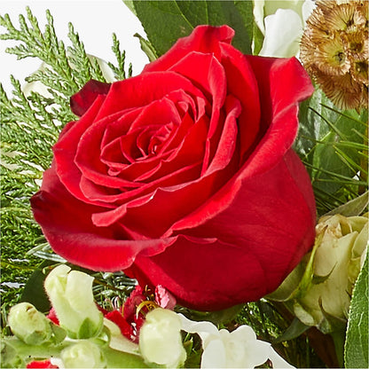 Deck the Halls Bouquet –  Atkinson Florist, Thornhill ON