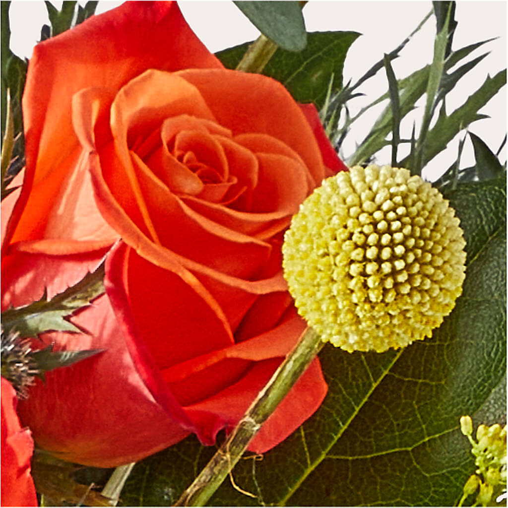 Disco Bouquet –  Atkinson Florist, Thornhill ON