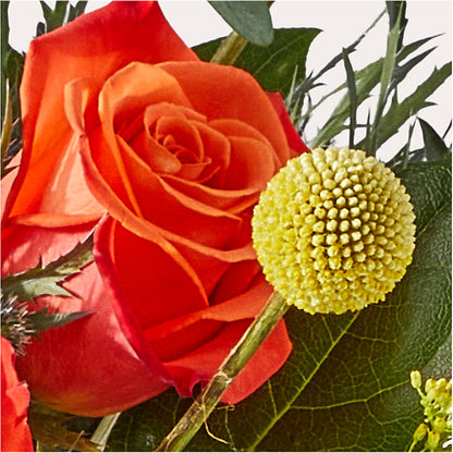 Disco Bouquet –  Atkinson Florist, Thornhill ON