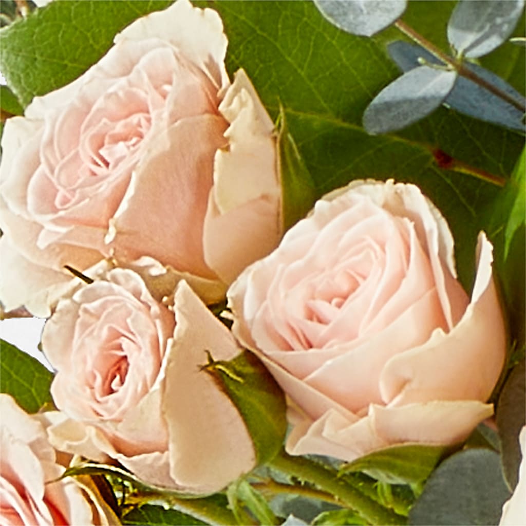 Inspired Bouquet –  Atkinson Florist, Thornhill ON