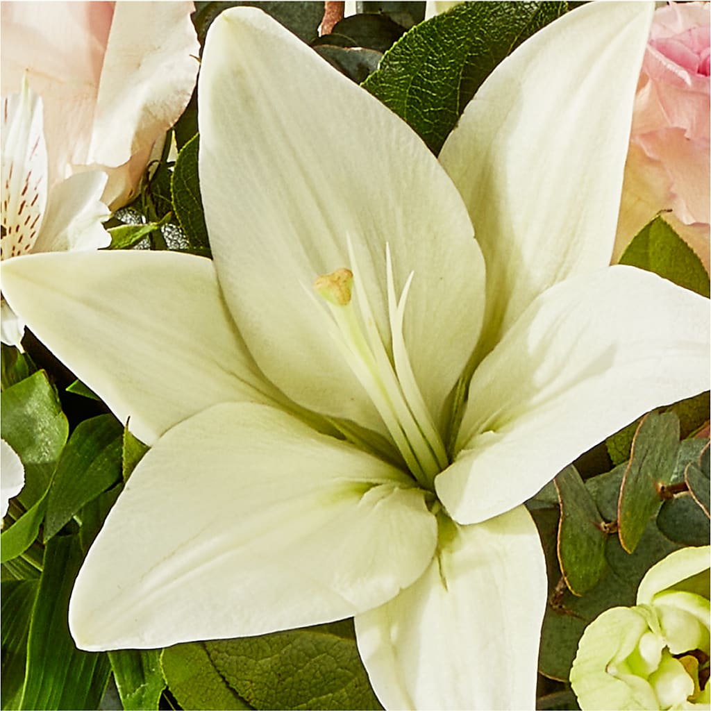 Ballet Slippers Bouquet –  Atkinson Florist, Thornhill ON