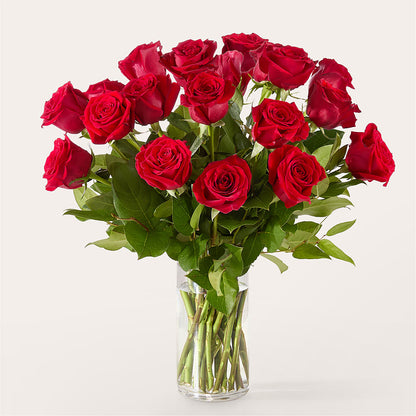 The One Red Rose Bouquet –  Atkinson Florist, Thornhill ON