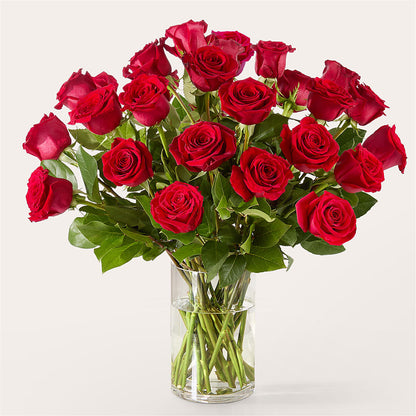 The One Red Rose Bouquet –  Atkinson Florist, Thornhill ON