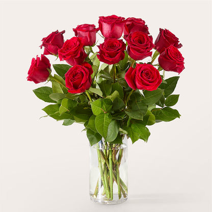 The One Red Rose Bouquet –  Atkinson Florist, Thornhill ON